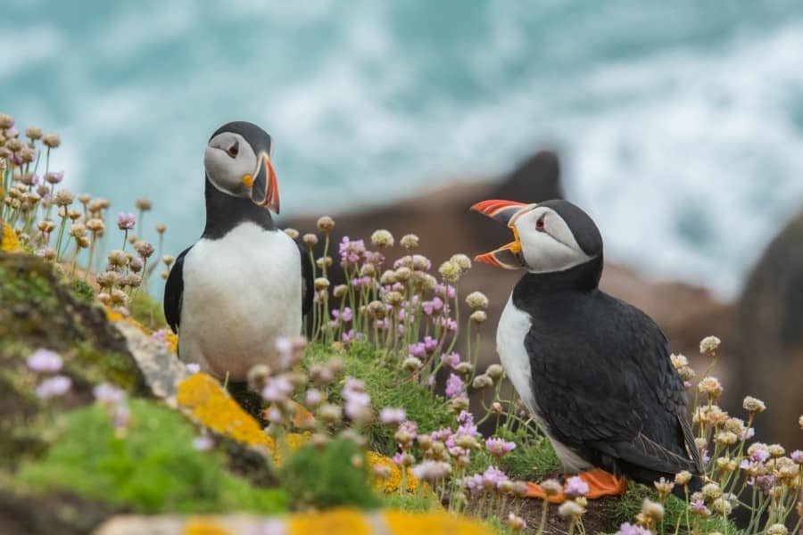 Exploring amazing living nature in Northern Africa